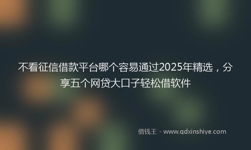 不看征信借款平台哪个容易通过2025年精选，分享五个网贷大口子轻松借软件