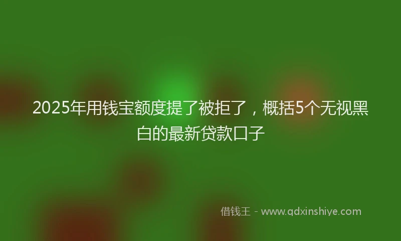 2025年用钱宝额度提了被拒了，概括5个无视黑白的最新贷款口子
