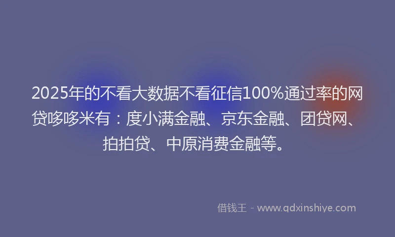 2025年的不看大数据不看征信100%通过率的网贷哆哆米有：度小满金融、京东金融、团贷网、拍拍贷、中原消费金融等。