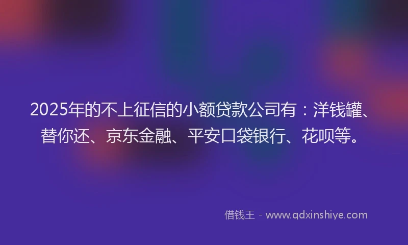 2025年的不上征信的小额贷款公司有：洋钱罐、替你还、京东金融、平安口袋银行、花呗等。
