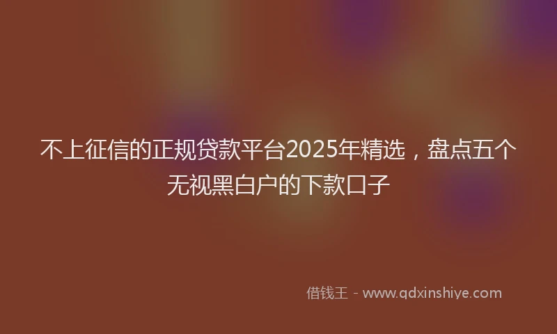 不上征信的正规贷款平台2025年精选，盘点五个无视黑白户的下款口子
