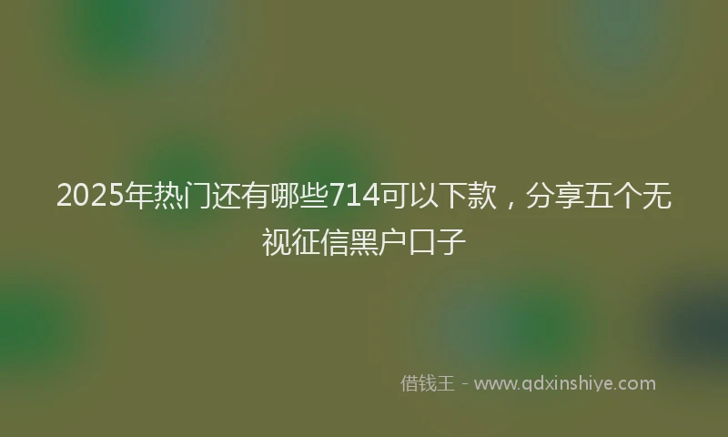 2025年热门还有哪些714可以下款，分享五个无视征信黑户口子