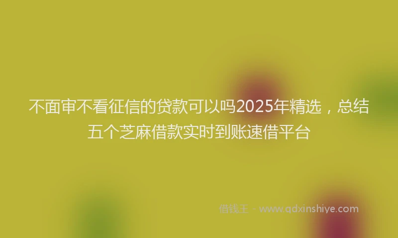 不面审不看征信的贷款可以吗2025年精选，总结五个芝麻借款实时到账速借平台