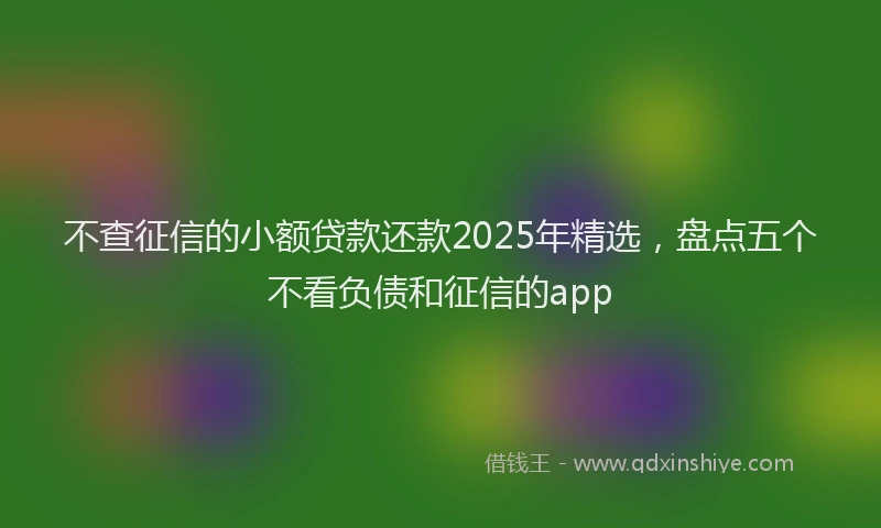 不查征信的小额贷款还款2025年精选，盘点五个不看负债和征信的app
