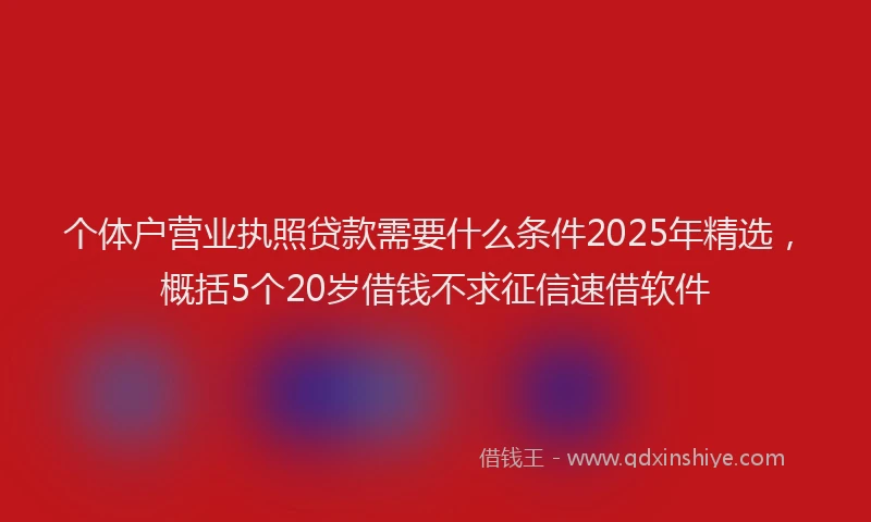 个体户营业执照贷款需要什么条件2025年精选，概括5个20岁借钱不求征信速借软件