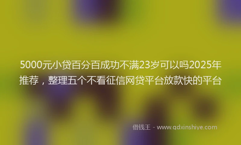 5000元小贷百分百成功不满23岁可以吗2025年推荐，整理五个不看征信网贷平台放款快的平台
