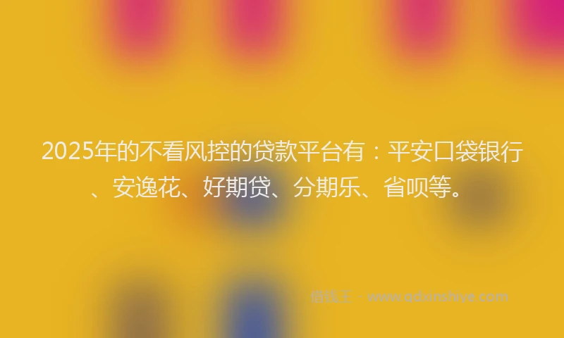 2025年的不看风控的贷款平台有：平安口袋银行、安逸花、好期贷、分期乐、省呗等。