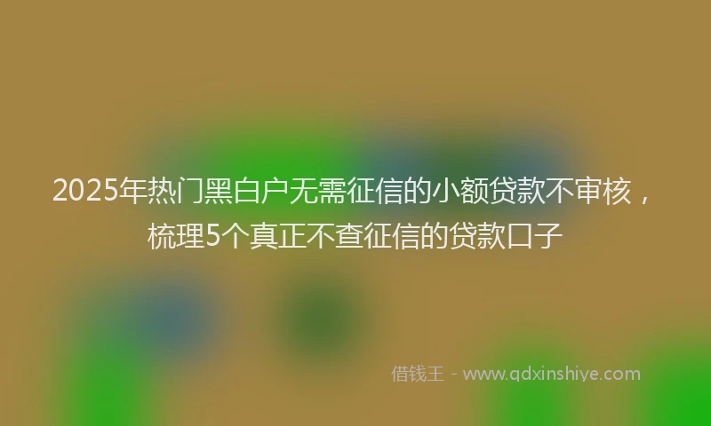 2025年热门黑白户无需征信的小额贷款不审核，梳理5个真正不查征信的贷款口子
