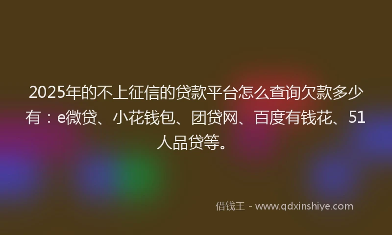 2025年的不上征信的贷款平台怎么查询欠款多少有：e微贷、小花钱包、团贷网、百度有钱花、51人品贷等。