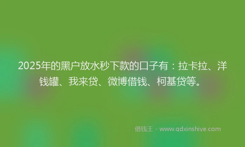 2025年的黑户放水秒下款的口子有：拉卡拉、洋钱罐、我来贷、微博借钱、柯基贷等。