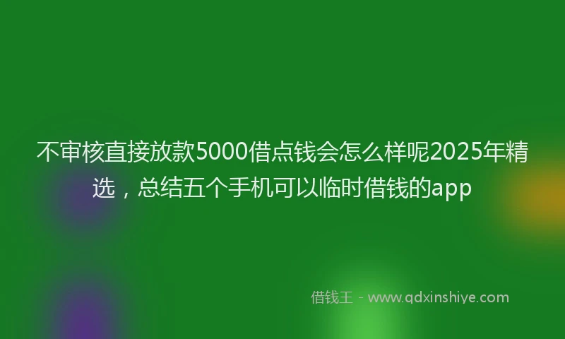 不审核直接放款5000借点钱会怎么样呢2025年精选，总结五个手机可以临时借钱的app