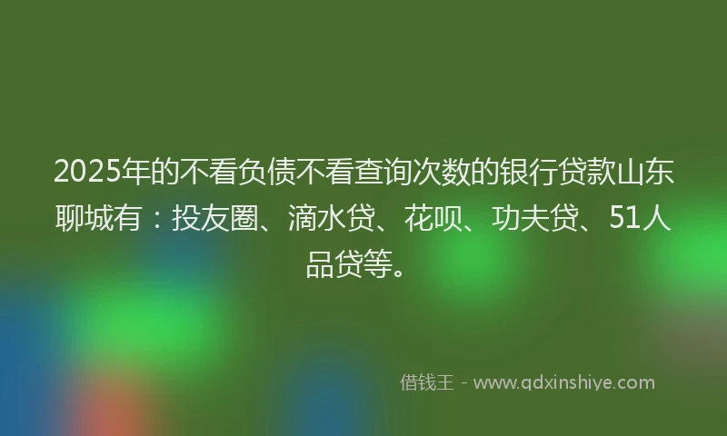 2025年的不看负债不看查询次数的银行贷款山东聊城有：投友圈、滴水贷、花呗、功夫贷、51人品贷等。