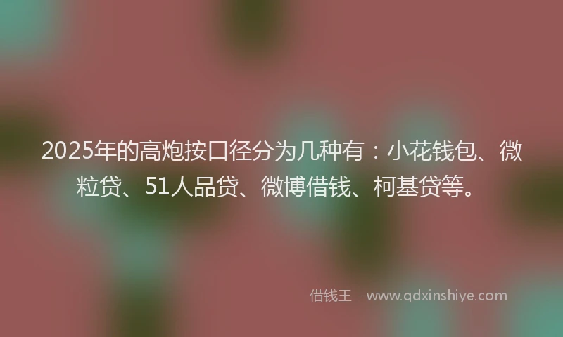 2025年的高炮按口径分为几种有：小花钱包、微粒贷、51人品贷、微博借钱、柯基贷等。