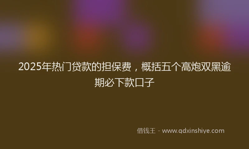 2025年热门贷款的担保费，概括五个高炮双黑逾期必下款口子
