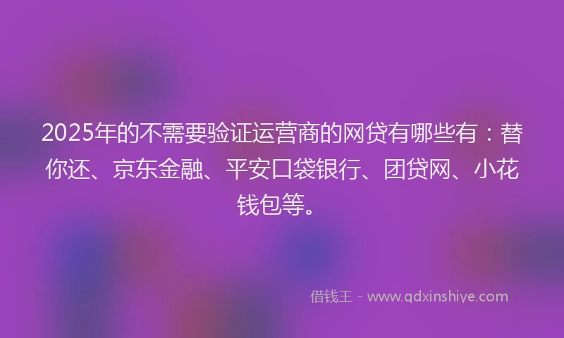 2025年的不需要验证运营商的网贷有哪些有：替你还、京东金融、平安口袋银行、团贷网、小花钱包等。