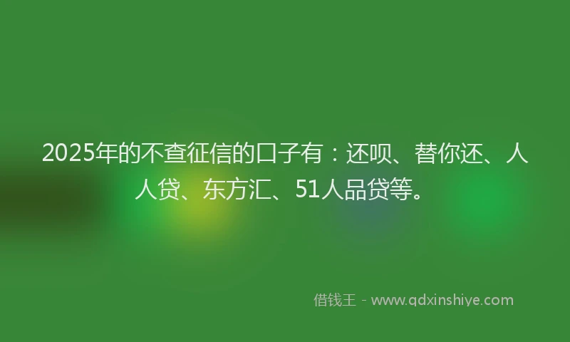 2025年的不查征信的口子有：还呗、替你还、人人贷、东方汇、51人品贷等。