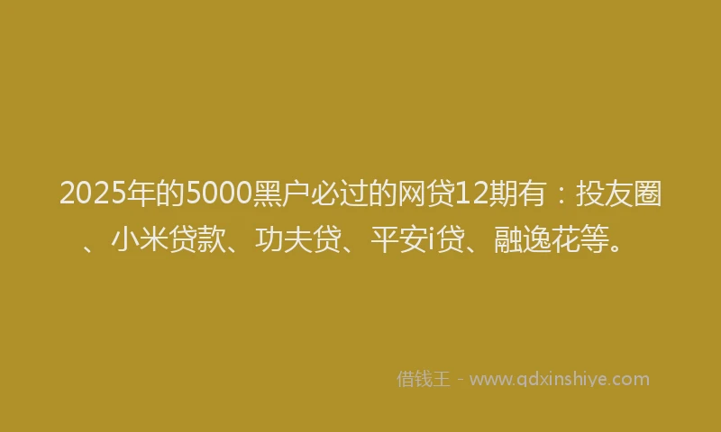2025年的5000黑户必过的网贷12期有：投友圈、小米贷款、功夫贷、平安i贷、融逸花等。