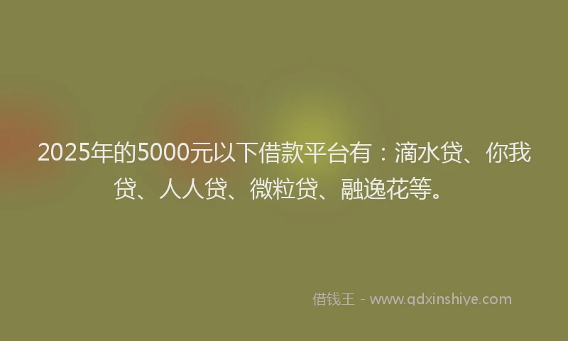 2025年的5000元以下借款平台有：滴水贷、你我贷、人人贷、微粒贷、融逸花等。