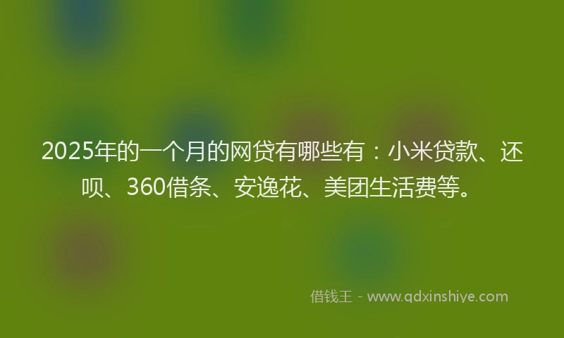 2025年的一个月的网贷有哪些有：小米贷款、还呗、360借条、安逸花、美团生活费等。