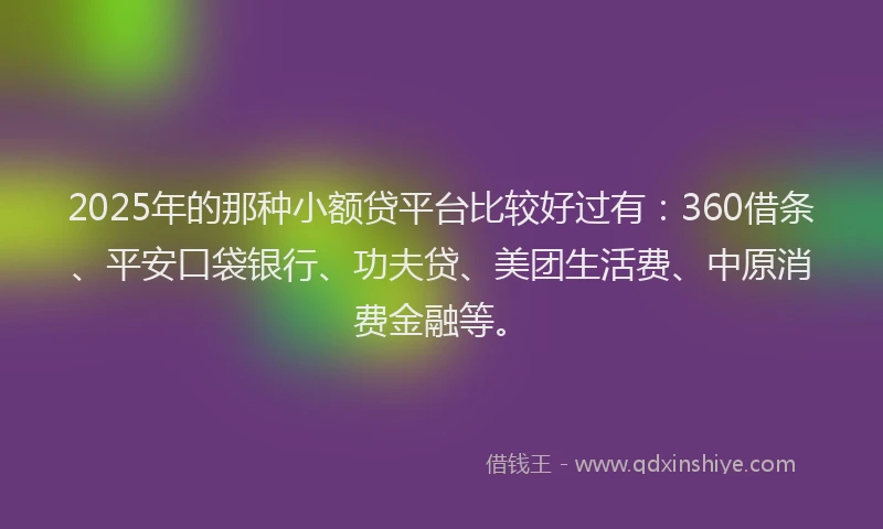 2025年的那种小额贷平台比较好过有：360借条、平安口袋银行、功夫贷、美团生活费、中原消费金融等。