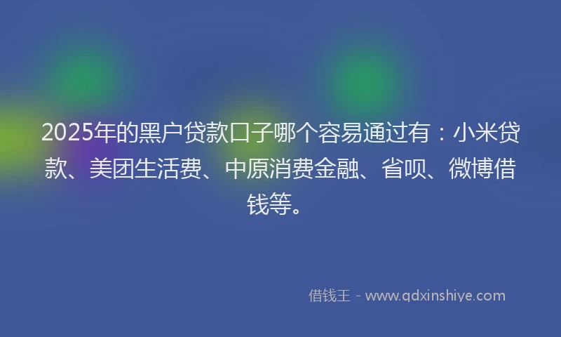 2025年的黑户贷款口子哪个容易通过有：小米贷款、美团生活费、中原消费金融、省呗、微博借钱等。