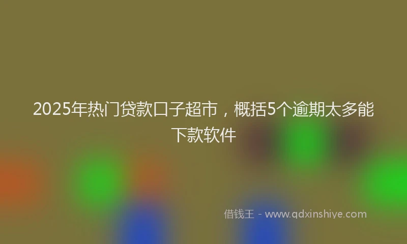 2025年热门贷款口子超市，概括5个逾期太多能下款软件