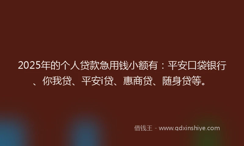 2025年的个人贷款急用钱小额有：平安口袋银行、你我贷、平安i贷、惠商贷、随身贷等。
