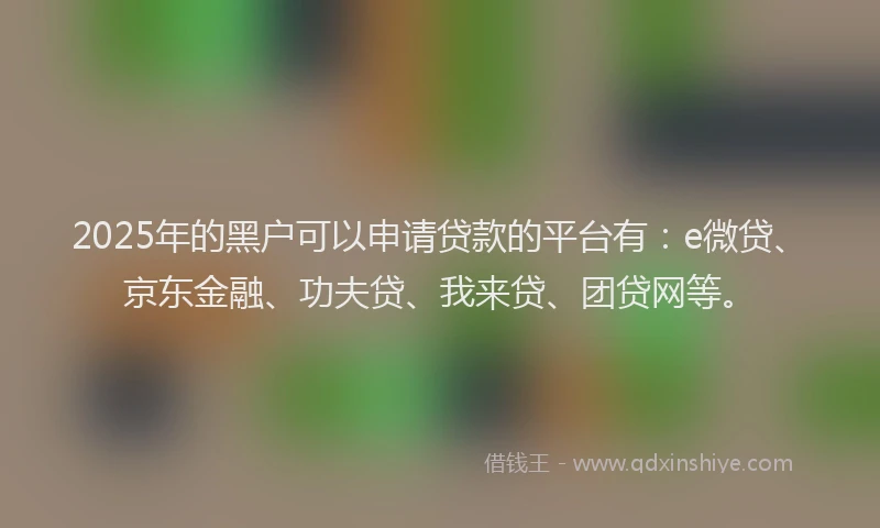 2025年的黑户可以申请贷款的平台有：e微贷、京东金融、功夫贷、我来贷、团贷网等。