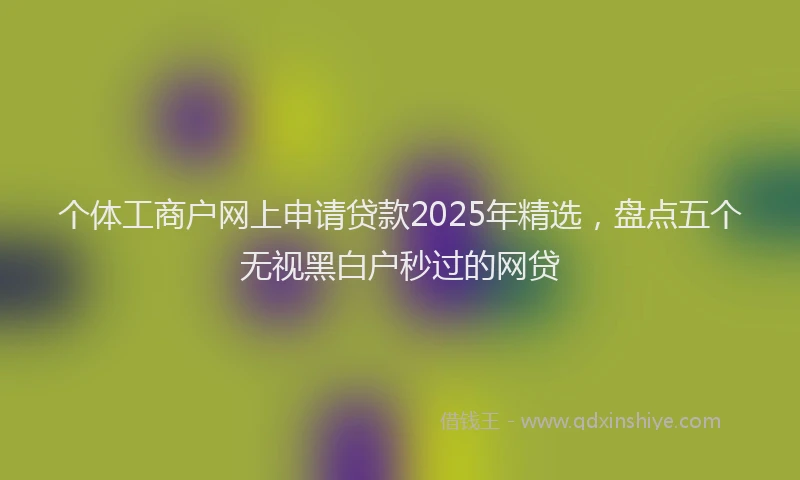 个体工商户网上申请贷款2025年精选，盘点五个无视黑白户秒过的网贷