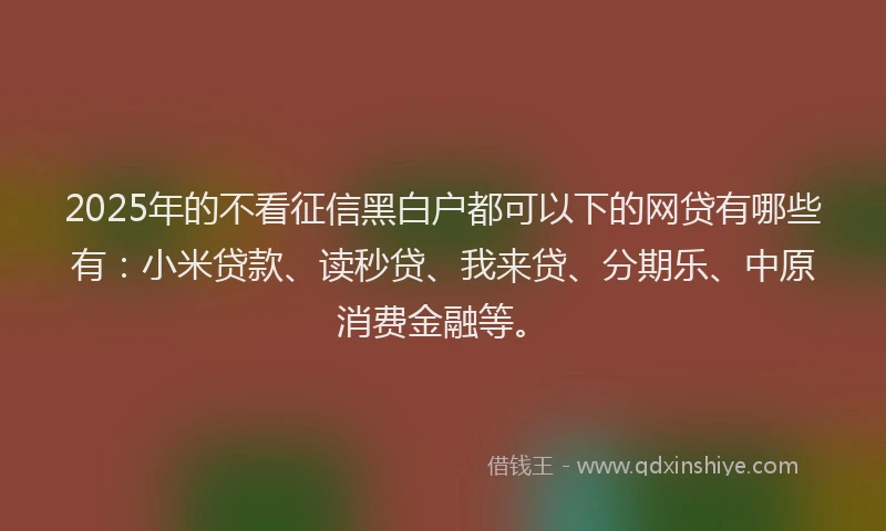 2025年的不看征信黑白户都可以下的网贷有哪些有：小米贷款、读秒贷、我来贷、分期乐、中原消费金融等。