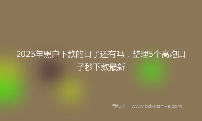 2025年黑户下款的口子还有吗，整理5个高炮口子秒下款最新