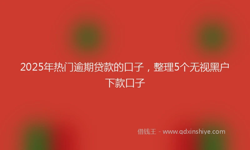2025年热门逾期贷款的口子，整理5个无视黑户下款口子