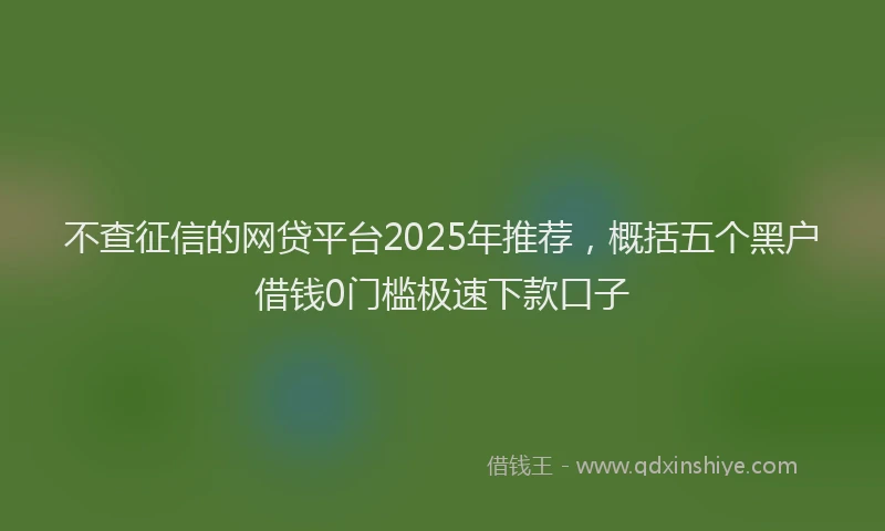 不查征信的网贷平台2025年推荐，概括五个黑户借钱0门槛极速下款口子