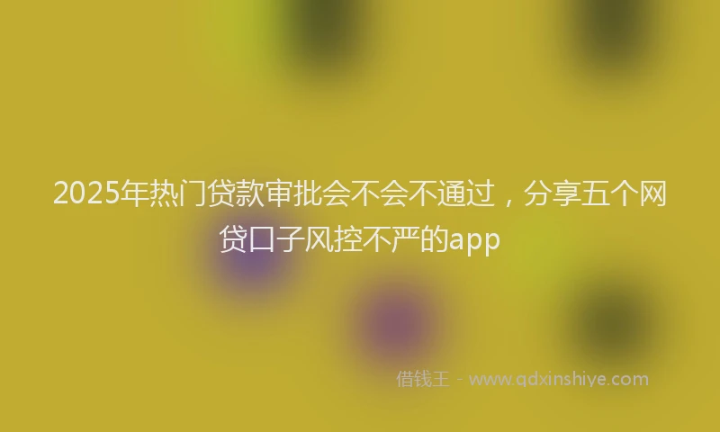 2025年热门贷款审批会不会不通过，分享五个网贷口子风控不严的app