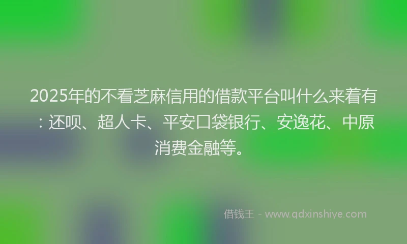 2025年的不看芝麻信用的借款平台叫什么来着有：还呗、超人卡、平安口袋银行、安逸花、中原消费金融等。