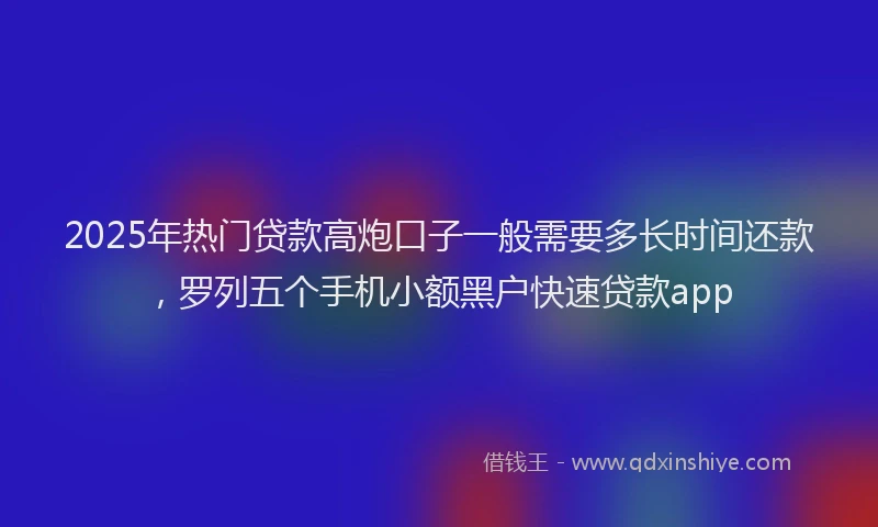 2025年热门贷款高炮口子一般需要多长时间还款，罗列五个手机小额黑户快速贷款app