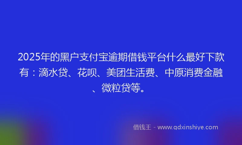 2025年的黑户支付宝逾期借钱平台什么最好下款有：滴水贷、花呗、美团生活费、中原消费金融、微粒贷等。