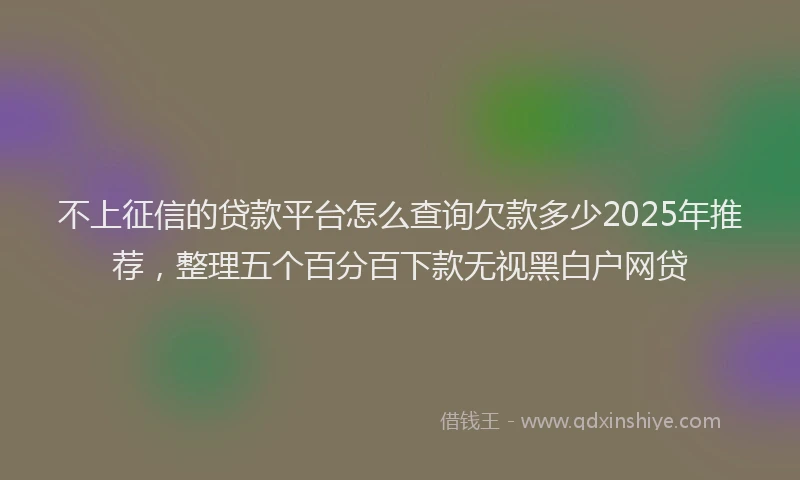 不上征信的贷款平台怎么查询欠款多少2025年推荐，整理五个百分百下款无视黑白户网贷
