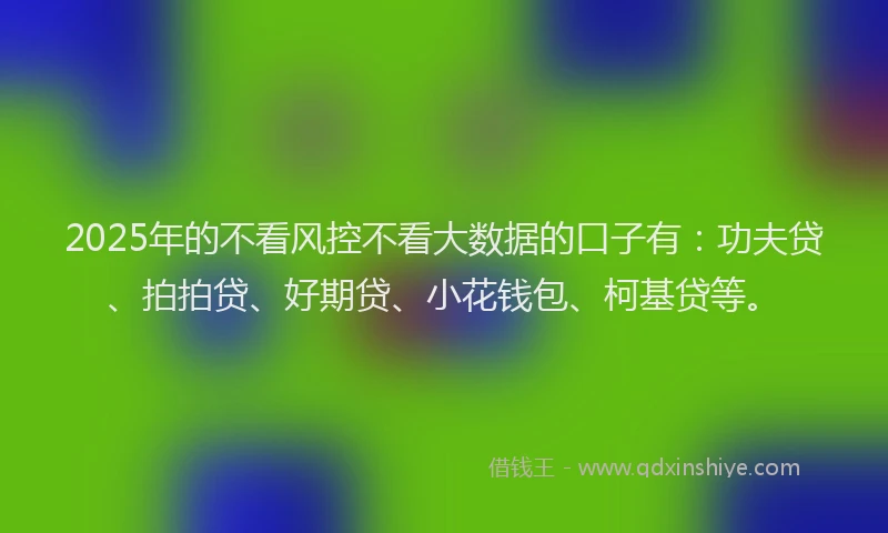 2025年的不看风控不看大数据的口子有：功夫贷、拍拍贷、好期贷、小花钱包、柯基贷等。