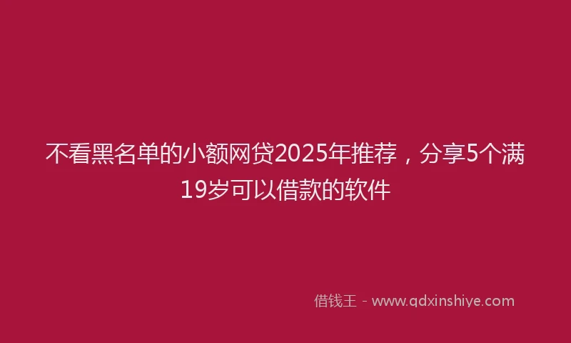 不看黑名单的小额网贷2025年推荐，分享5个满19岁可以借款的软件