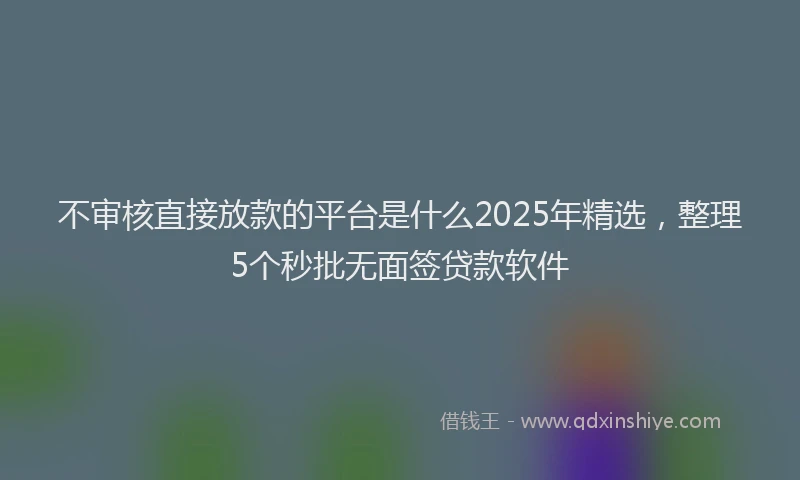 不审核直接放款的平台是什么2025年精选，整理5个秒批无面签贷款软件