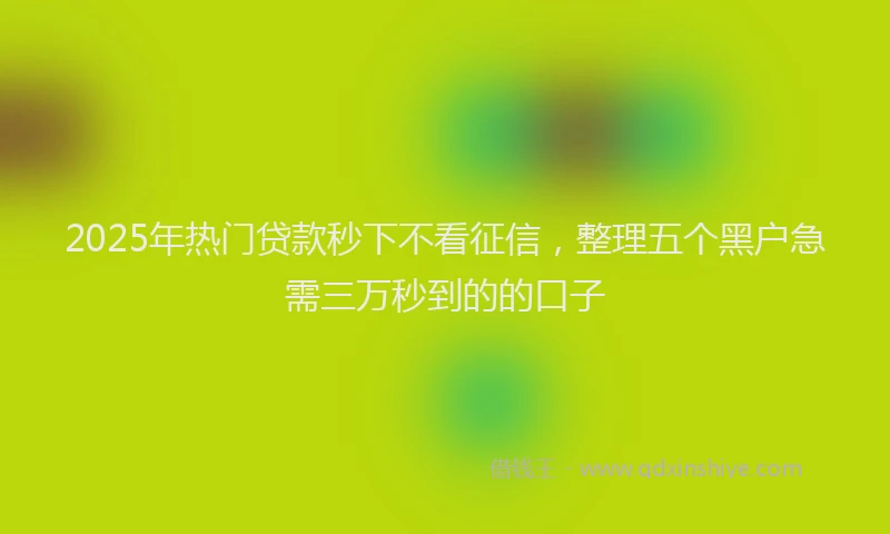 2025年热门贷款秒下不看征信，整理五个黑户急需三万秒到的的口子