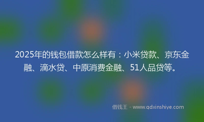 2025年的钱包借款怎么样有：小米贷款、京东金融、滴水贷、中原消费金融、51人品贷等。