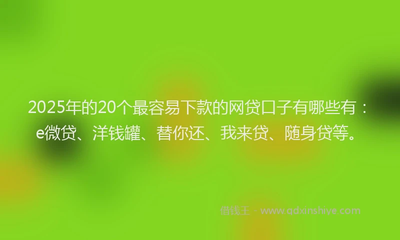 2025年的20个最容易下款的网贷口子有哪些有：e微贷、洋钱罐、替你还、我来贷、随身贷等。