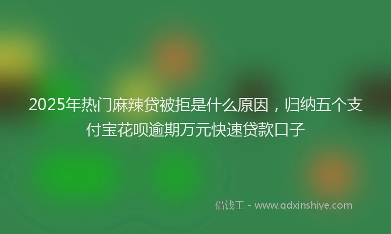2025年热门麻辣贷被拒是什么原因，归纳五个支付宝花呗逾期万元快速贷款口子