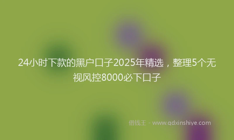 24小时下款的黑户口子2025年精选，整理5个无视风控8000必下口子