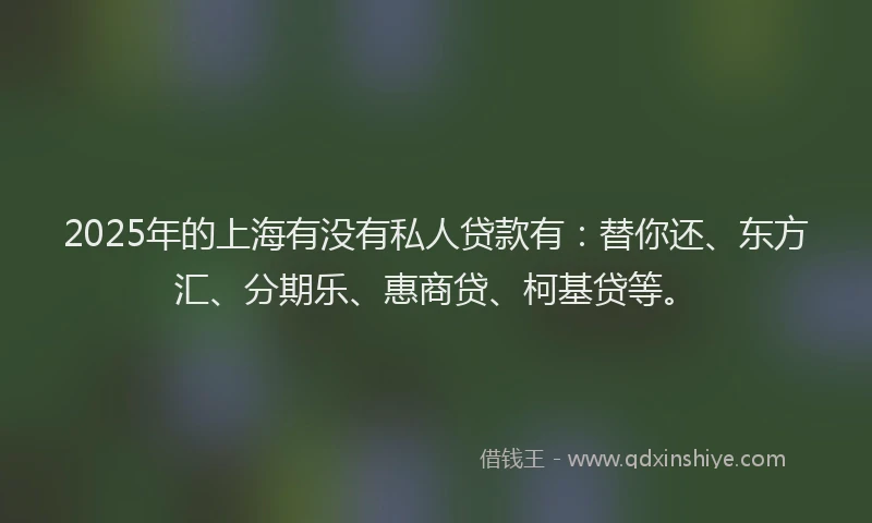 2025年的上海有没有私人贷款有：替你还、东方汇、分期乐、惠商贷、柯基贷等。