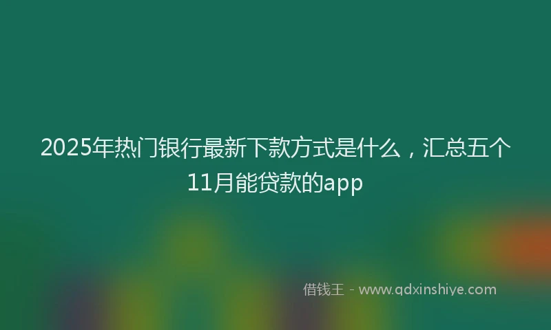 2025年热门银行最新下款方式是什么，汇总五个11月能贷款的app