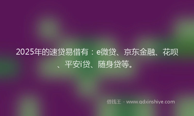 2025年的速贷易借有：e微贷、京东金融、花呗、平安i贷、随身贷等。