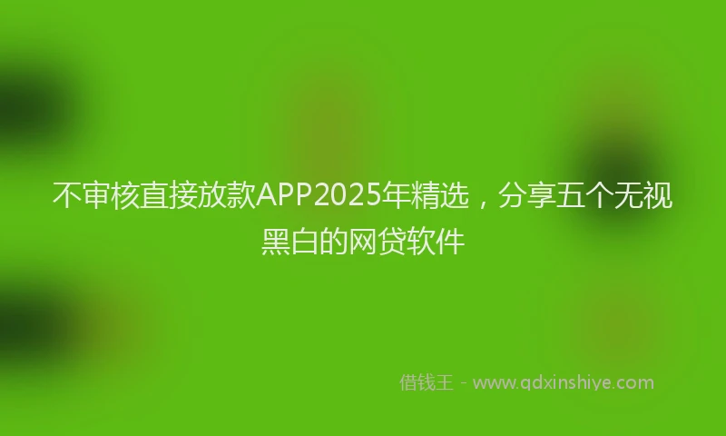 不审核直接放款APP2025年精选，分享五个无视黑白的网贷软件